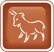 zodiaco occidental capricornio